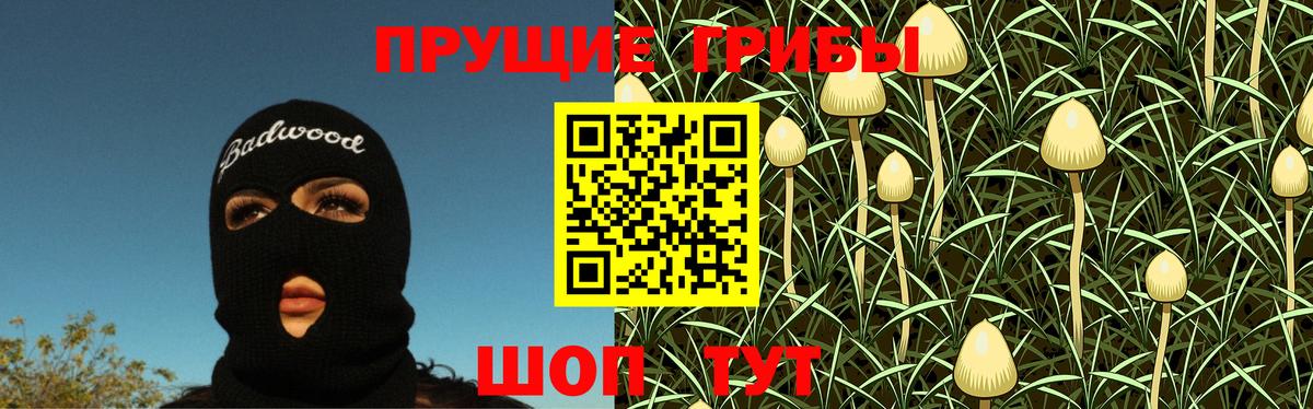 Галлюциногенные грибы Magic Shrooms  Вход с VPN  Алушта  Галлюциногенные грибы MAGIC MUSHROOMS 